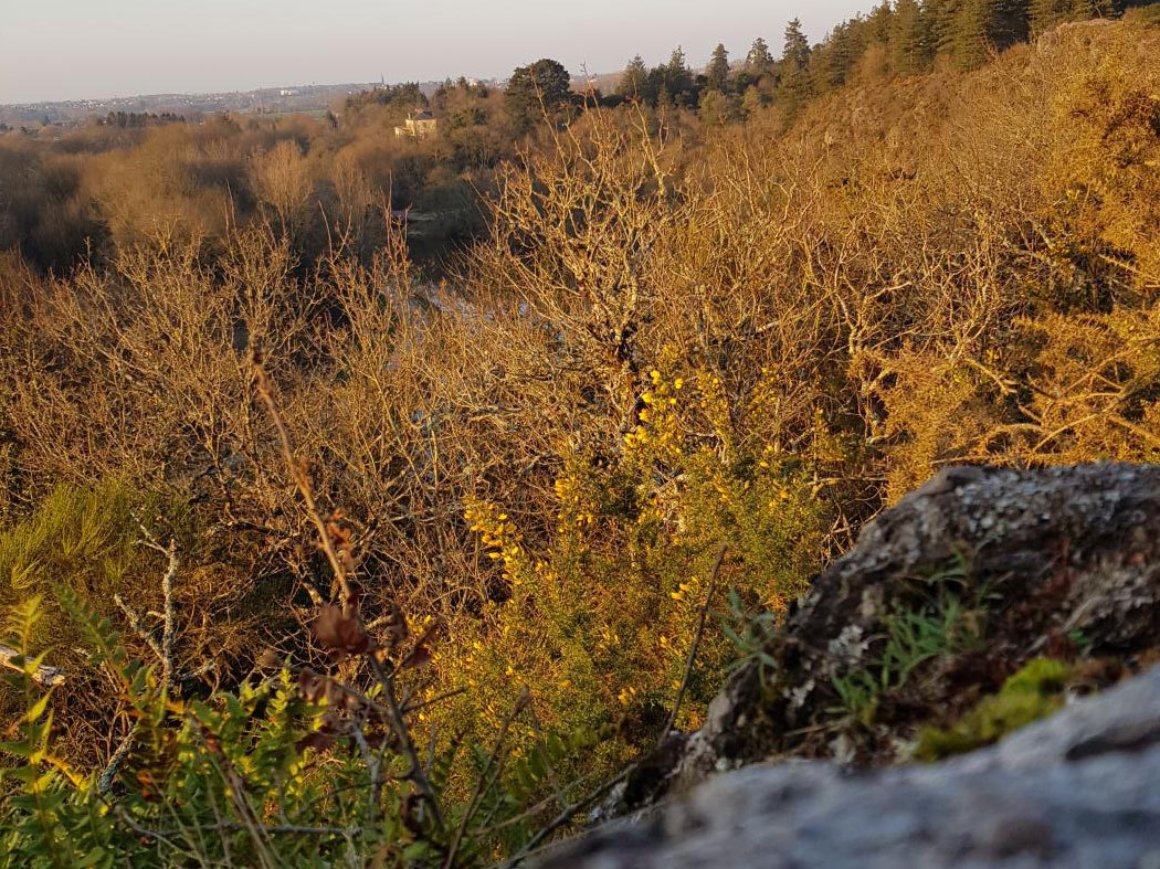 Un site emblématique de la Vallée de la Vilaine